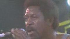 Otis Rush - Everyday I Have The Blues