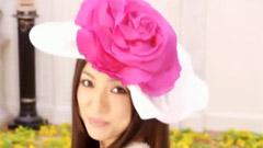 岛谷瞳 - Camellia-カメリア-