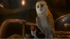 Owl City - To The Sky 中英字幕