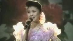 蔡虹红 - 指南针