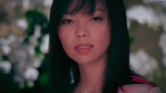 张惠妹 - 心诚则灵