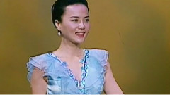 王宏伟,杨珊珊 - 如此珊琴