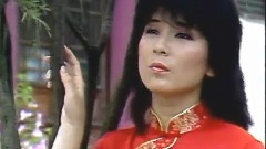 陈淑桦 - 红楼梦