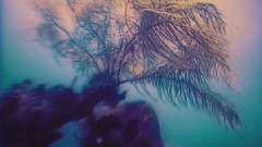Enigma - MCMXC