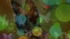 Ryan Farish,音乐短片 - Butterfly