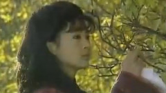 影视原声,高胜美 - 情定望夫崖