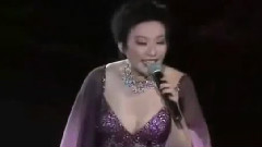 刘雅丽 - 万家灯火
