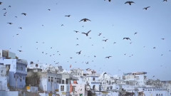 Skylar Grey,Moby - The Last Day