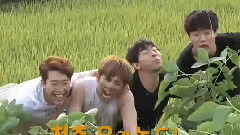李洪基(FTISLAND) - 电视剧< Modern Farmer >