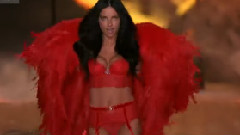 Victorias Secret Fashion Show 2013-2014