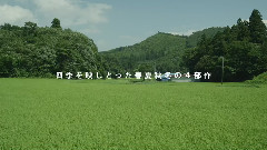 影视原声 - 映画<リトル・フォレスト 冬・春>予告編