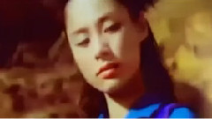 Twins - 狐狸精
