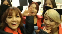 AOA - 猫步轻悄 粉丝签名会实录