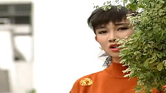 吴泓君 - 一颗情泪 & 淡淡情愁 & 可怜的落魄人