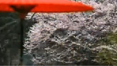 模仿翻唱 - Time After Time