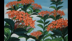 动漫专属,影视原声 - 圣少女Kaitou Saint Tail 1995 Creditless Ending 3