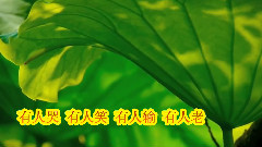 模仿翻唱 - 朋友别哭