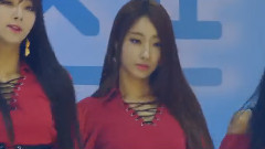 Nine Muses - WILD