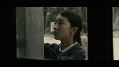 模仿翻唱,音乐短片 - 山楂树