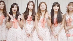 A Pink - Apink Official Fan Club 二期招募