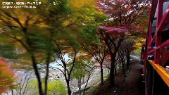 日本京都观光・岚山红叶