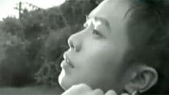 南拳妈妈 - 不该结束