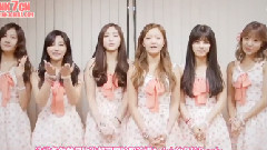 A Pink - Apink Official Fan Club 二期招募