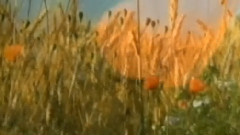 O mio babbino caro (from Gianni Schicchi)