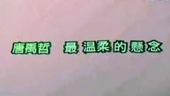 唐禹哲 - 最温柔的悬念