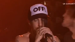 Red Hot Chili Peppers - Dani California