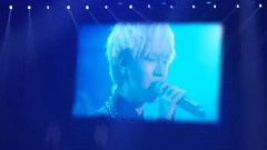 Super Junior - 墨纸