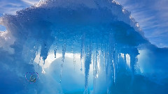 New - Frozen Queen Music - Casablanca