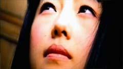 李贞贤 - 和平