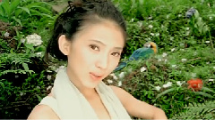 戴佩妮 - 一个人的行李