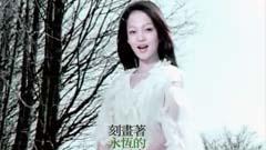 张韶涵 - 梦里花