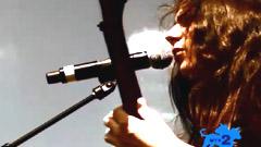 Black Tide - Shackwave