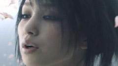 中岛美嘉 - 桜色舞うころ