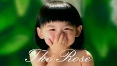 蔡依林 - The Rose