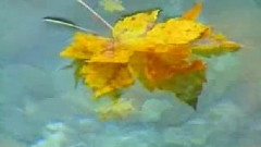 轻音乐,Bandari - Tenderness