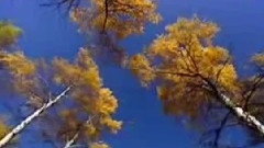 轻音乐,Bandari - Ei Condor Pasa