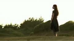 Superfly - Wildflower