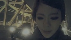张在仁 - 冬夜