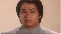 甄子丹 - 陈真踢馆合集
