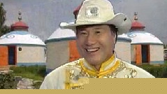 华语群星 - 欢迎你来大草原