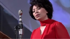 蔡琴 - 为了爱梦一生