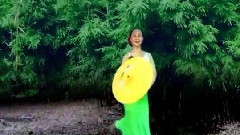 模仿翻唱 - 竹林深处