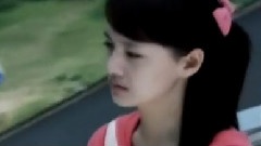 张翰 - 偶像剧