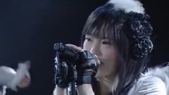 NMB48 - Bird