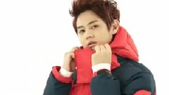 BEAST - Head