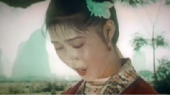 群星 - 世上哪有树缠藤
